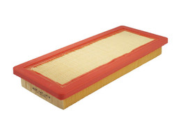 C36002 Filtro Aire Wega FAP-2416