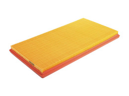 C42002 Filtro Aire Wega FAP-9110