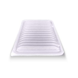 C26006 Filtro Aire Wega JFA-0829