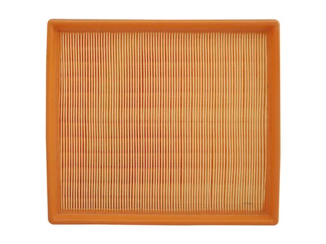 C24025 Filtro Aire Wega FAP-9066