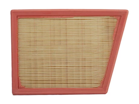 C22018 Filtro Aire Wega FAP-9298