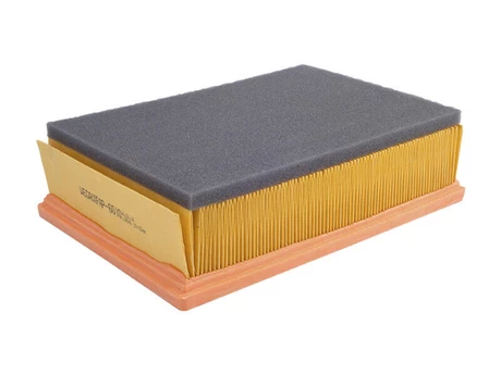 C25126 Filtro Aire Wega FAP-6010