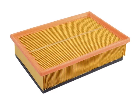 C25126 Filtro Aire Wega FAP-6010