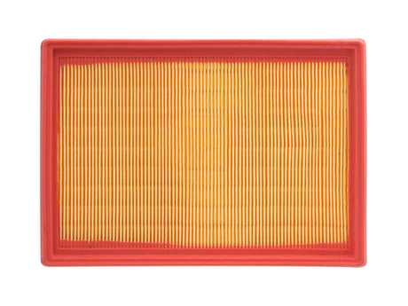 C24700 Filtro Aire Wega FAP-5218