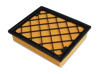 C25008/1 Filtro Aire Wega FAP-2848