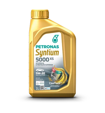 Syntium 5000 XS 5W30 1 lts