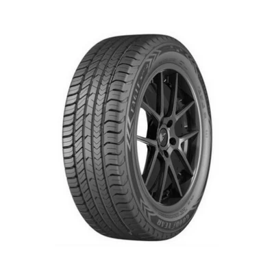 205/55R16 Goodyear Eagle Sport 2 91 V