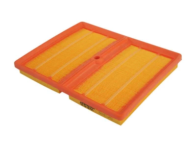C22035 Filtro Aire Wega FAP-3599