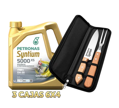 3 Cajas 6x4 Syntium 5000 XS + 1 Set Asado Syntium