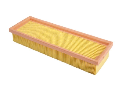 C3173 Filtro Wega Aire FAP-4037