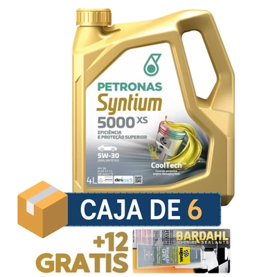 1 CAJA de Syntium 5000 XS (6x4) + 1 CAJA GRATIS de Silicona Gris Bardahl