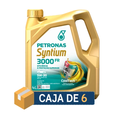 Syntium 3000 FR 5W30 (6x4)