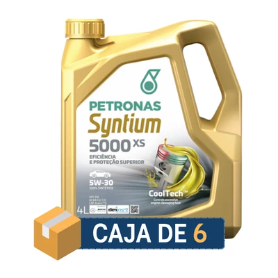 Syntium 5000 XS 5W30 4 lts (6x4)