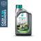 Selenia WR PE 5W30 1 lts (24x1)