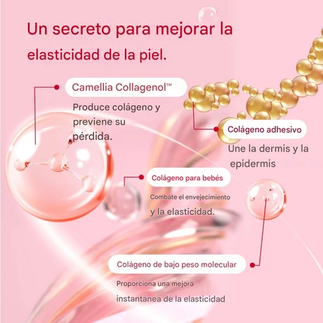 Camellia Deep Collagen Firming Ampoule 30ml - vista alternativa