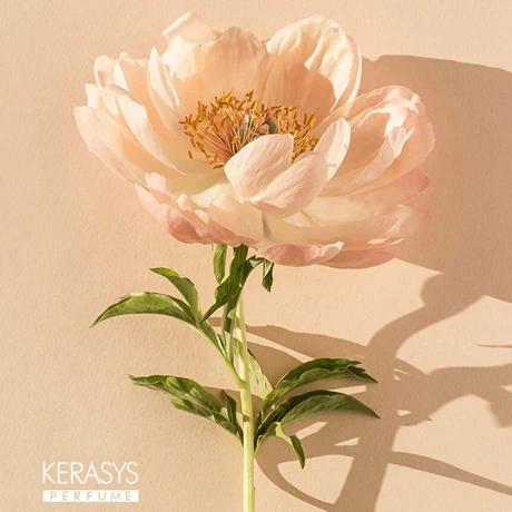 Dear Flora Cherry Blossom Shampoo 1.5L - vista alternativa