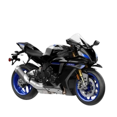 R1 M