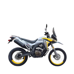 DS250 EFI