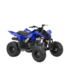 RAPTOR 110
