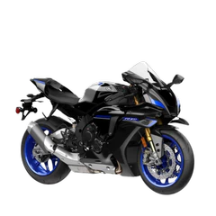 R1 M