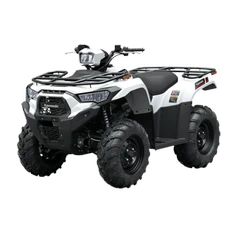 Brute Force 450 4X4