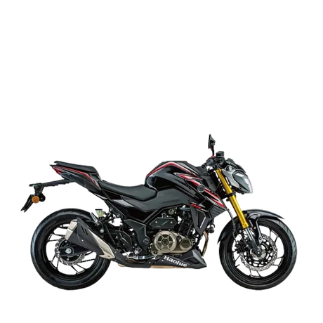 DR300