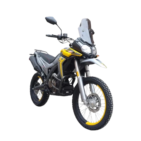 DS250 EFI - vista alternativa