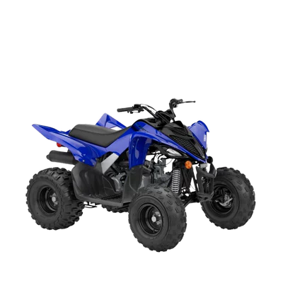 RAPTOR 110
