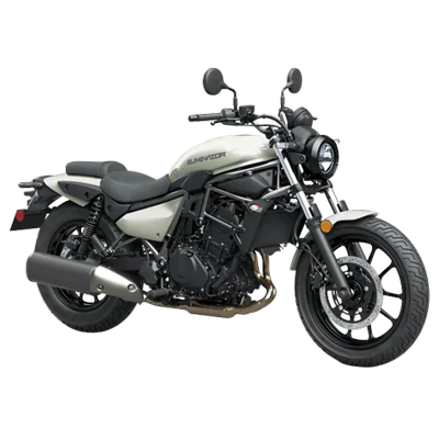 ELIMINATOR 500 