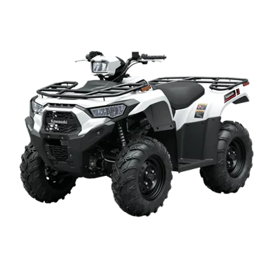 Brute Force 450 4X4
