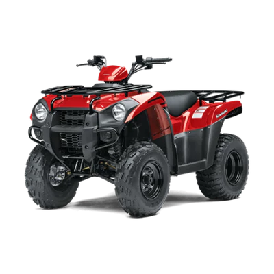 Brute Force 300
