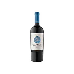 Vino Aliwen Merlot Botella 750cc