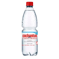 Agua Mineral Cachantun S/Gas 600Cc
