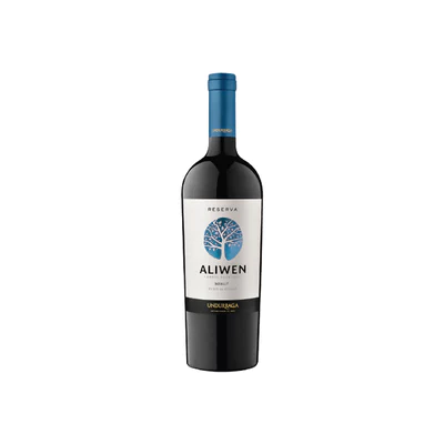 Vino Aliwen Merlot Botella 750cc