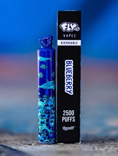 Vaporizador Fly Is Blueberry 2500 X 1Un