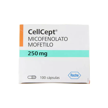CELLCEPT (R) MICOFENOLATO MOFETILO 250MG 100 COMPRIMIDOS RECUBIERTOS