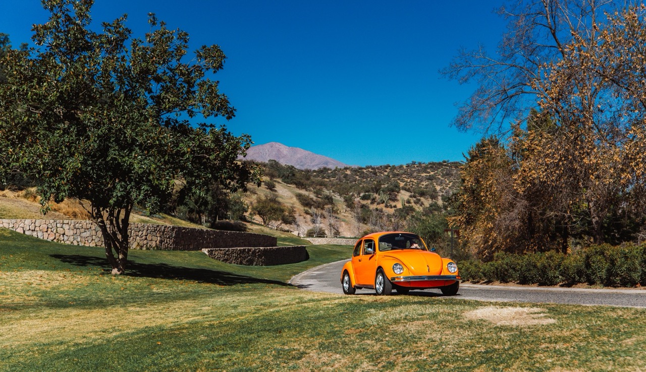 Copia_de_AF4A9380_de_taman_o_grande, 