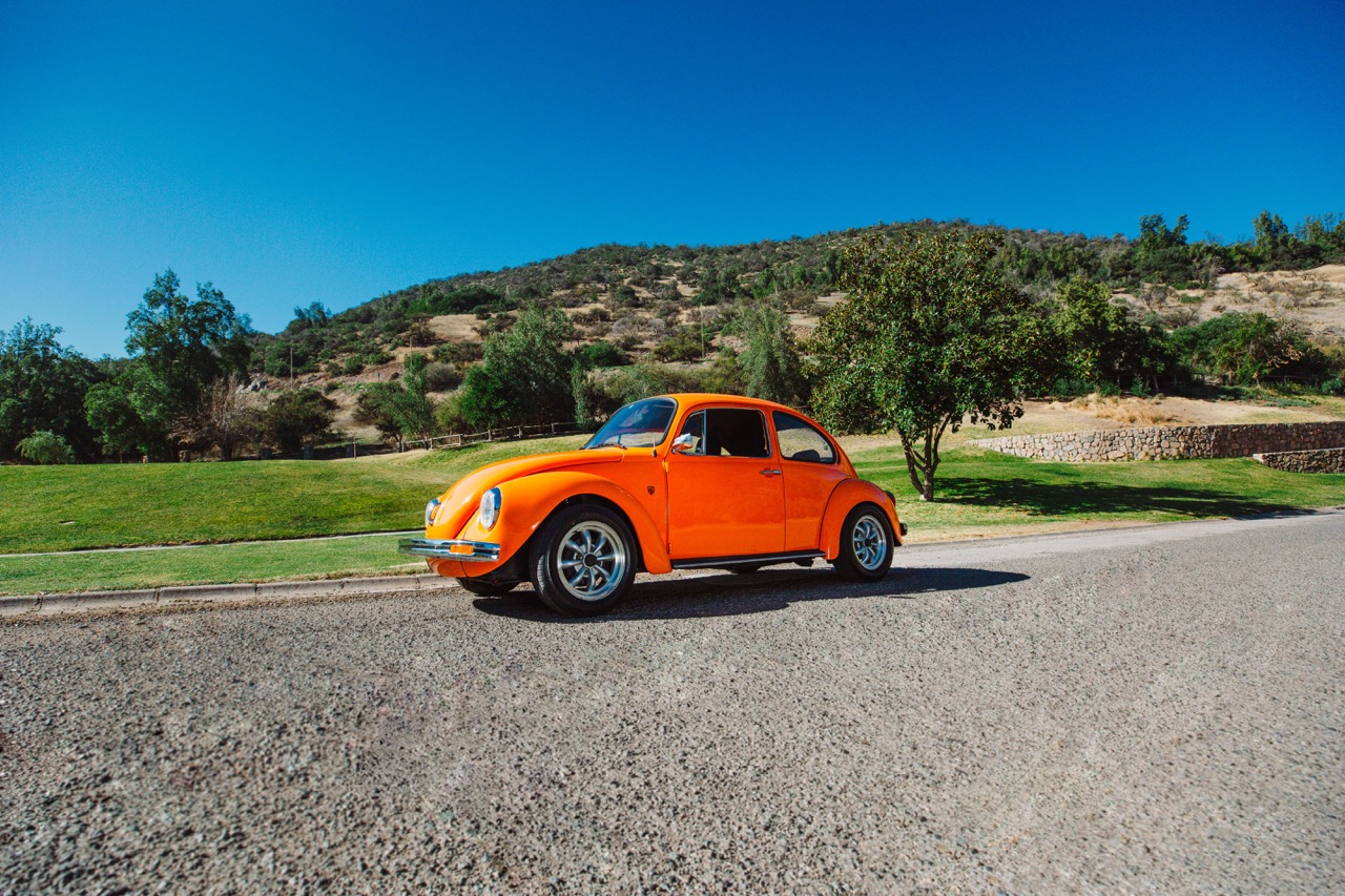 Copia_de_AF4A9363_de_taman_o_grande, 