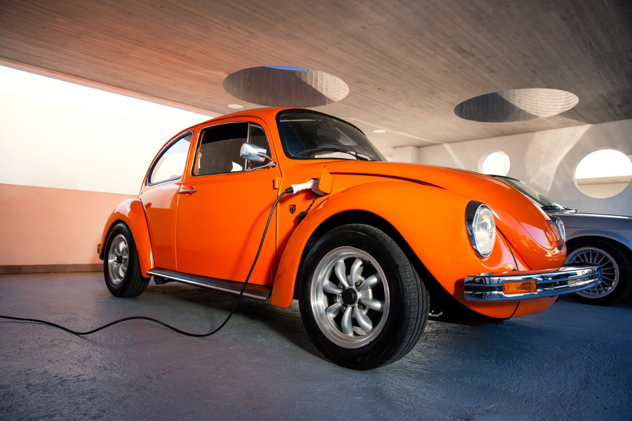 Copia_de_AF4A9725_de_taman_o_grande, 