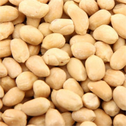 Maní Tostado Tostaduria Talca  - 250 grs