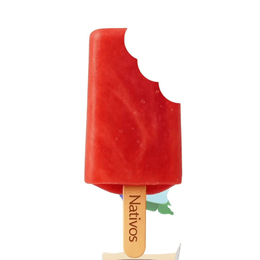 Helados Nativos Sabor Frutos del Bosque