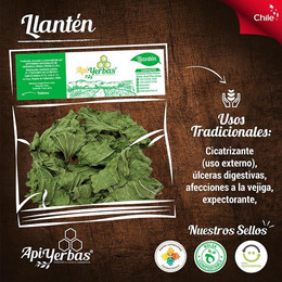 Llantén Apiyerbas - 15 grs