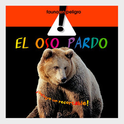 El oso pardo