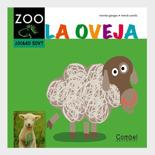 La oveja - 005.jpg