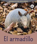 El armadillo - 9788483439296_04_n.jpg