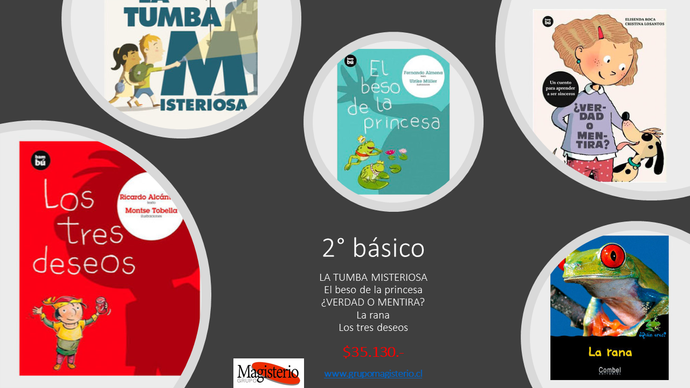 Bolsón lector 2 Básico - 2Basico.PNG