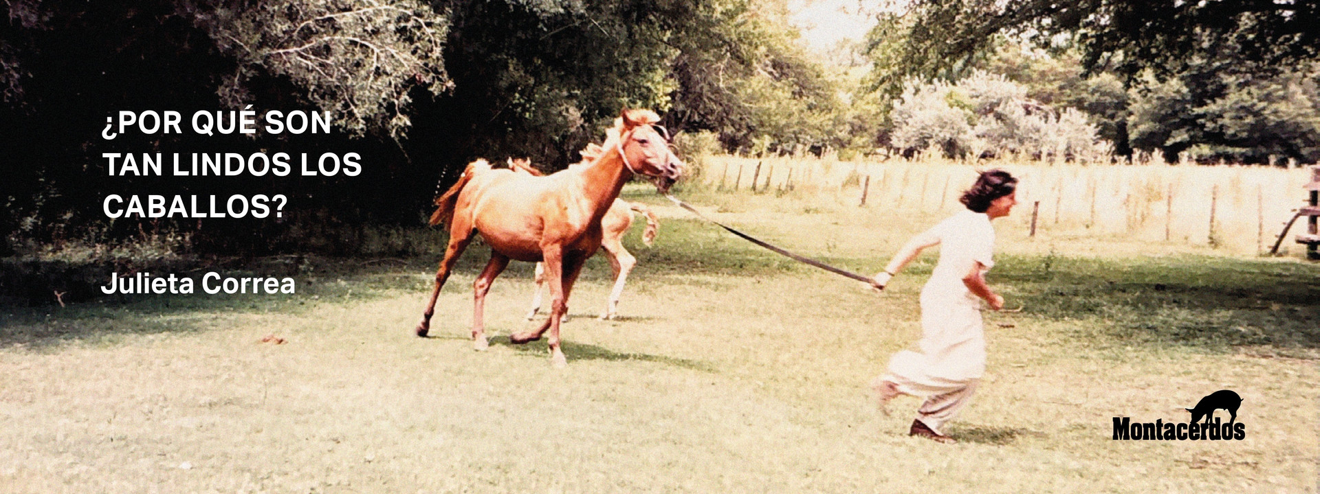 Banner_Los_Caballos_(1)_page-0001.jpg
