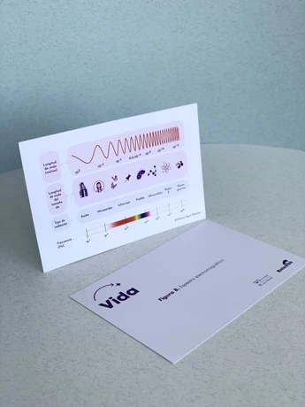 Vida: caja especial - vista alternativa