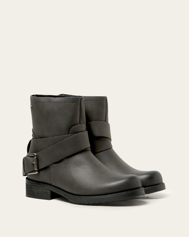 250384 Gris