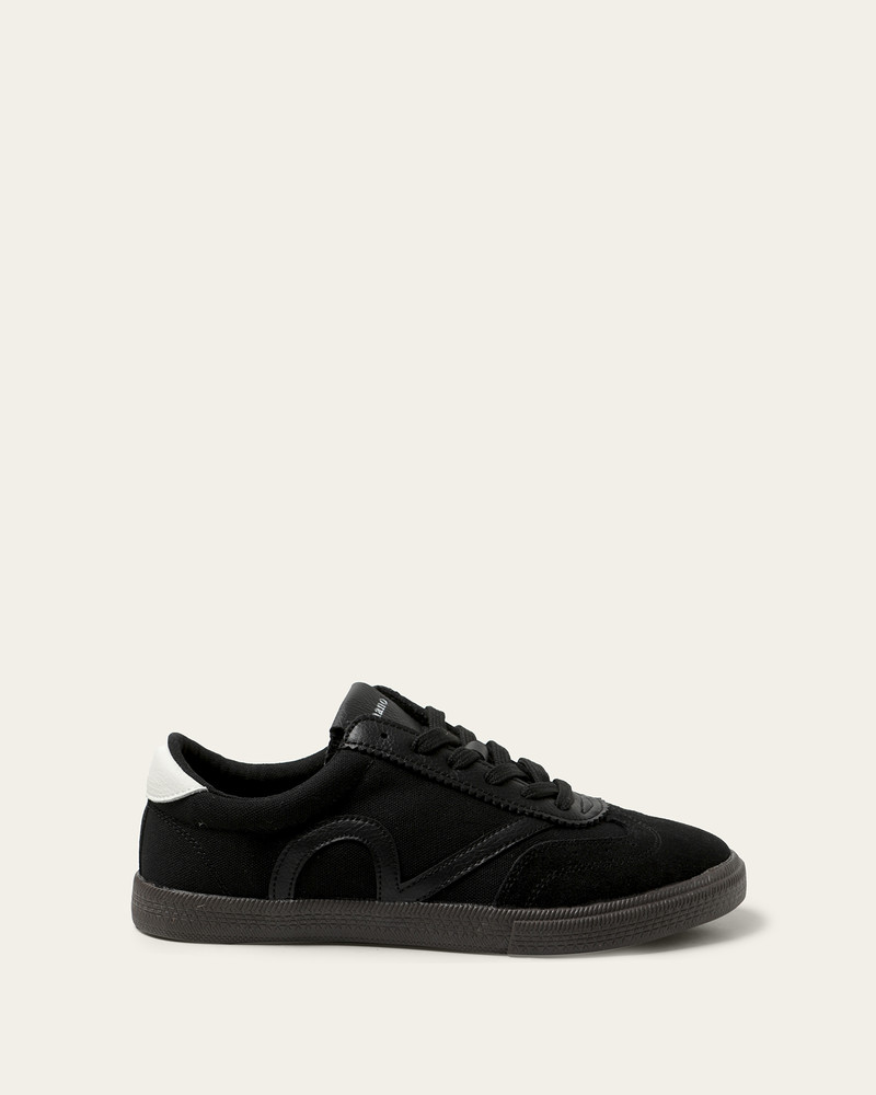 250201 Negro